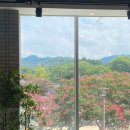 The 마실 이미지