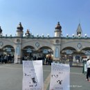 수봉별마루도너츠 | 25 일상블로그 ③ 에버랜드 산리오 튤립축제와 리버트레일 즐기기