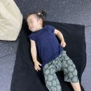 제타트레이닝 이미지