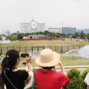 용산-431 이미지