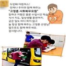 일간제주