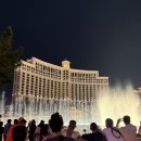 벨라지오호텔 | 라스베가스 여행 맛집 분수쇼가 멋진 벨라지오 호텔 뷔페 브런치 후기!