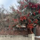 꽃비원스테이 이미지