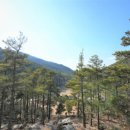 무안낙지 이미지