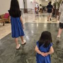 화창슈퍼 | 괌 3박4일_#6 괌에서 브런치 에그앤띵스 후기, 빌리지오브돈키, 괌pic 슈퍼 아메리칸 서커스 내돈내산 후기