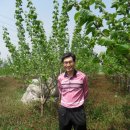 성기영농장 Daum카페