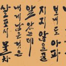 서예 B Daum카페