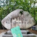 GR(합천군)-[가야산로]-하-3 | 경남여행 합천 해인사 팔만대장경 보고왔어요 (주차+입장료)