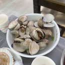 탄도항 맛집 회센터 횟집 최가네 내돈내산
