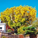 기와터(근린공원) 이미지