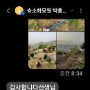 123♡벌초대행