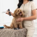 희망애견샵 이미지