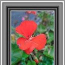 주정차56 | 김포공항 주차비 아끼는 비결과 김포공항 주차대행 리얼 후기 🚙✨