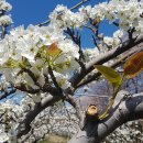 신기마을회관 이미지