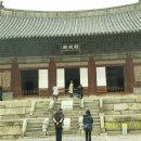 홍예동물병원 | 창경궁 산책(101127)