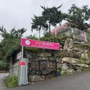 니멍내멍 이미지