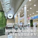 설해원(양양국제공항) | 양양국제공항 제주도 노선 파라타 항공 후기 편의시설, 셔틀버스 등