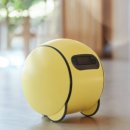 유한프로텍 이미지