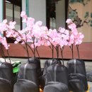 "세종, 인재를 뽑다" 이미지