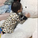 대왕세탁 이미지