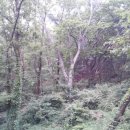 석봉 농장 이미지