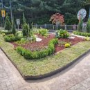 앞 교통섬 이미지