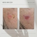 오르아즈 이미지