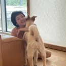 월이집