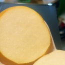 최상배농장 이미지