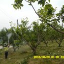 새순1농장 이미지