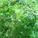 돈이농장 이미지