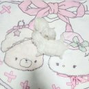 Will's Family Kennel | Premium Mini Bichon Puppies for Sale | Responsible Breeder in Korea