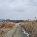 서해랑길 64-1코스 (지선)*창리포구-부남호-부석버스정류장* (24.12.28)
