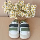 토이조이 | 돌아기 걸음마신발 추천 팁토이조이 내돈내산 후기