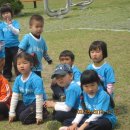 점섬운동장 이미지