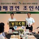 성남다짐 티스토리