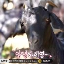 나나목장 이미지