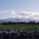 도두카센타 이미지