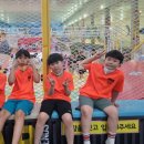 경희대 인하 태권도 이미지