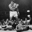 다윗복싱다이어트 이미지