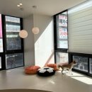 동그라개 | [의왕, 평촌] 동그라개 | 강아지 미용 스파 호텔ㅣ의왕애견미용 | 평촌애견미용