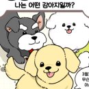 안녕, 댕댕이 이미지