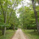 수다라성보박물관(영광불갑사) 이미지