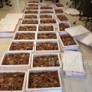 동해-단속-47 이미지