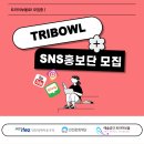 트라이보울 이미지