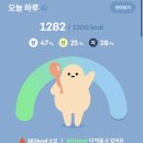 아웃플랜 이미지