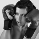 고릴라 복싱 이미지