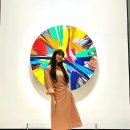 조이마트 이미지