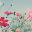 성인 생활영어(초급) 이미지