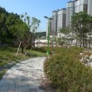 파라곤세탁 이미지